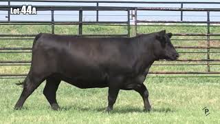 Lot 44A