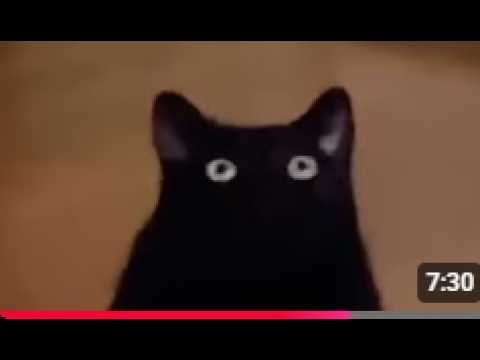I reacted to UNUSUAL MEME COMPILATION V336