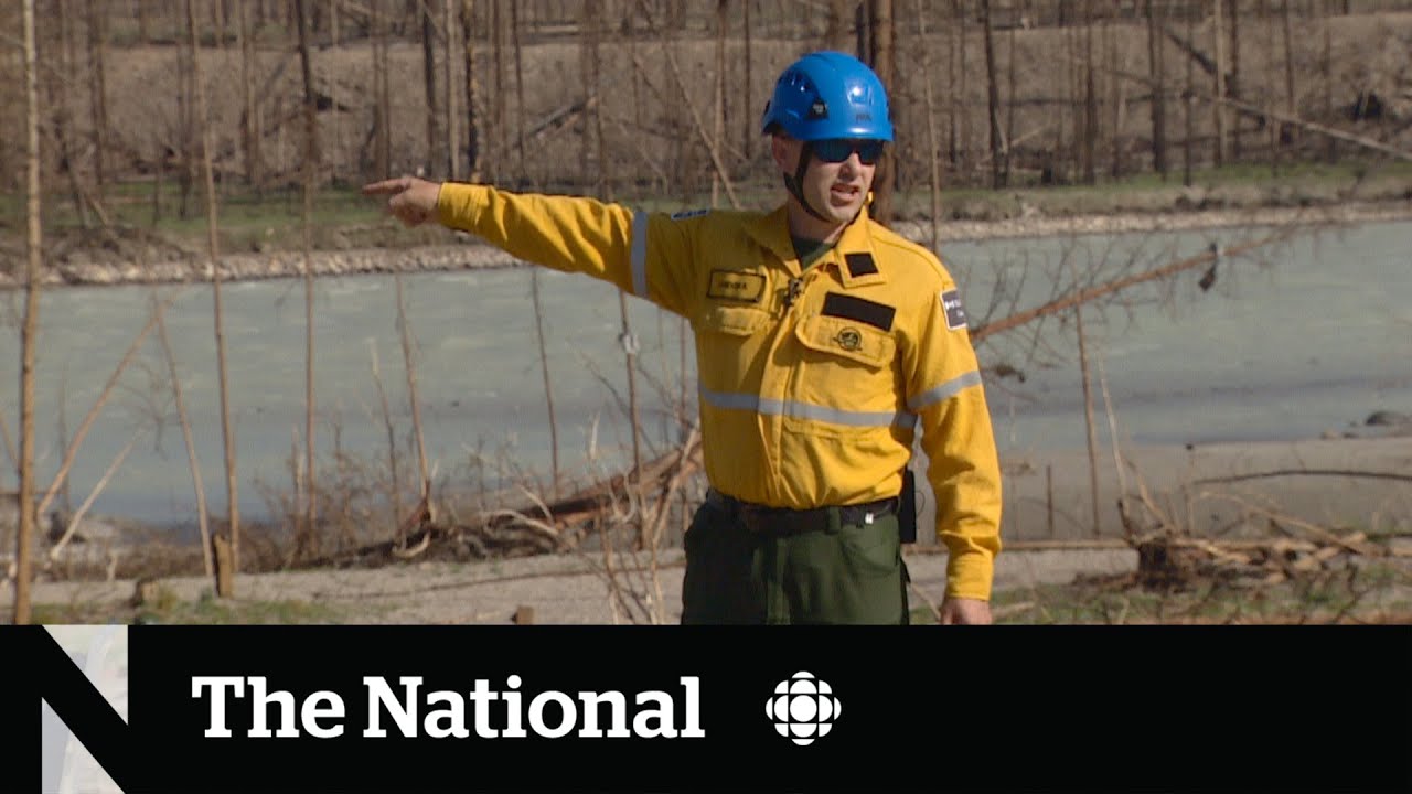 Tourists allowed to return to Jasper after wildfire - YouTube