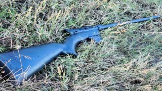 Henry AR 7  vs. Marlin Model 70 Papoose