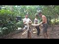 Dangerous Giant Python Captured Alive | Real Jungle Adventure