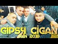 Gipsy Cigan Jun 2018 PAZO PANI