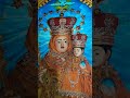 #catholicchurch#holymother#velankannimadha#sadrichristiansong#mothermary#hailmary#hindichristiansong