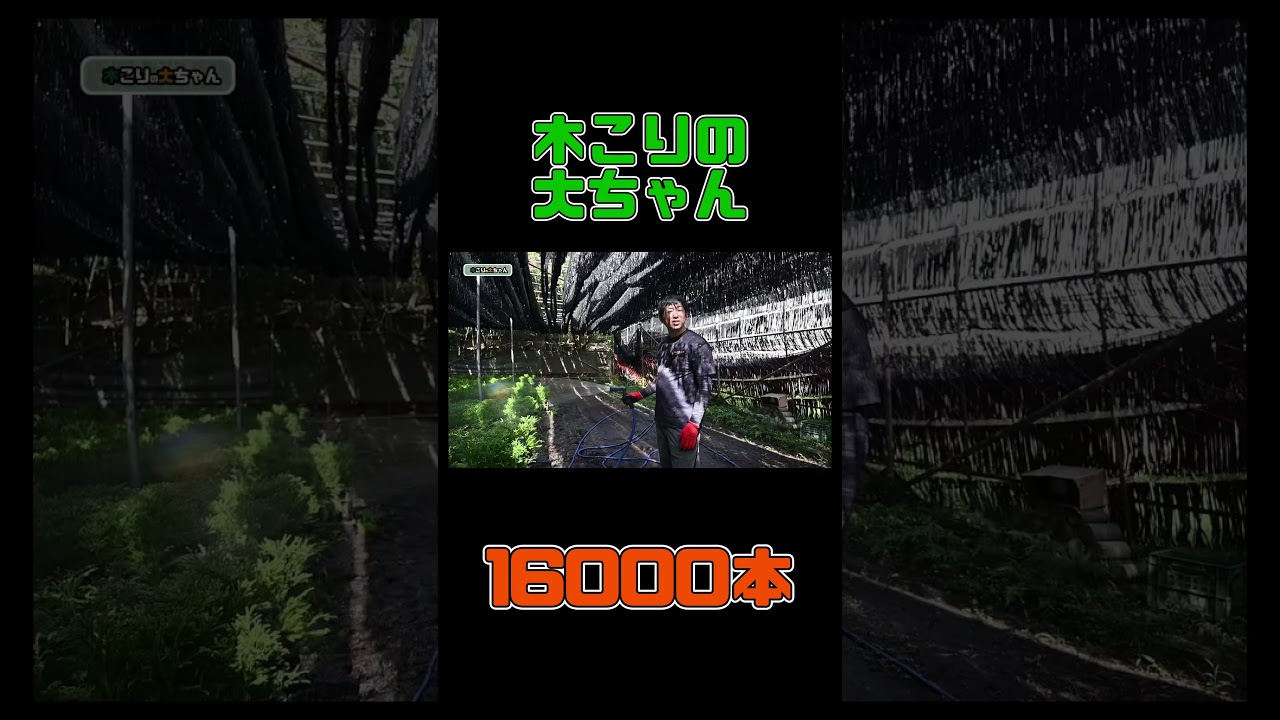 【木こり】16000本【林業のリアル】