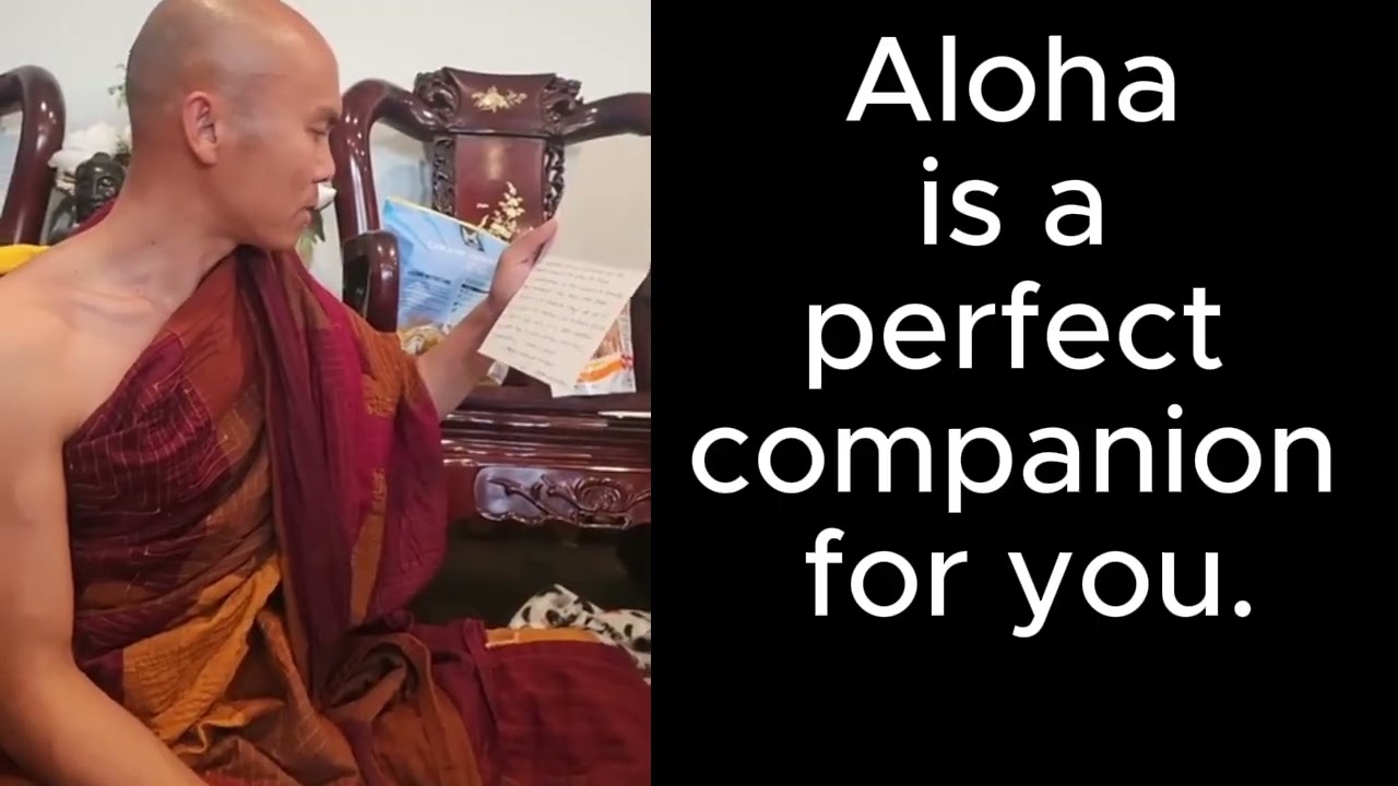 Aloka is a perfect companion for you.