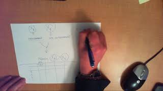 STATS 30 - Test T dep (1)