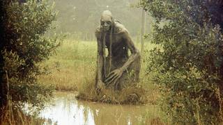 The Darkest Cryptid Encounters Ever Documented