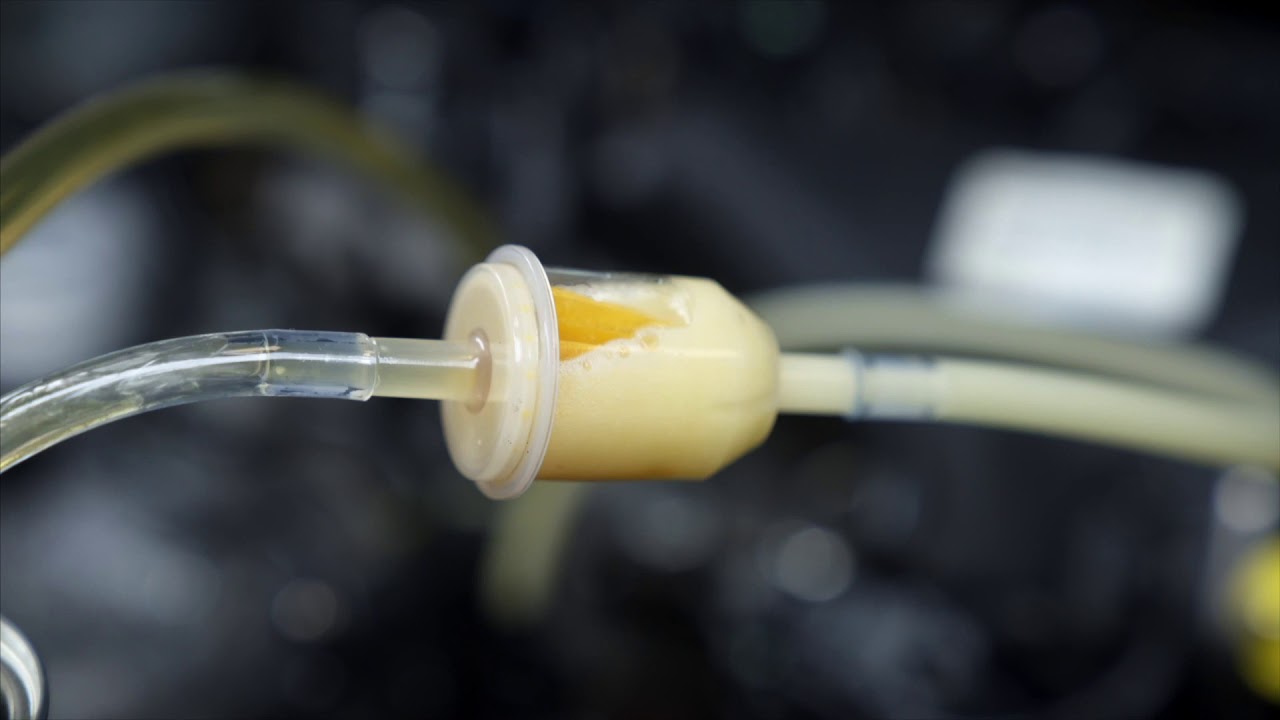 Common rail diesel injector cleaner K2 Diesel Dictum YouTube