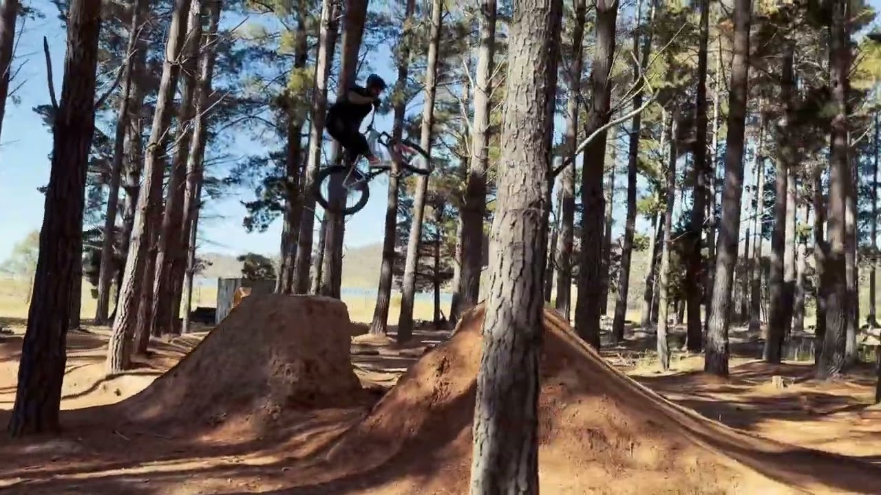 Majura Pines Dirt Jumps