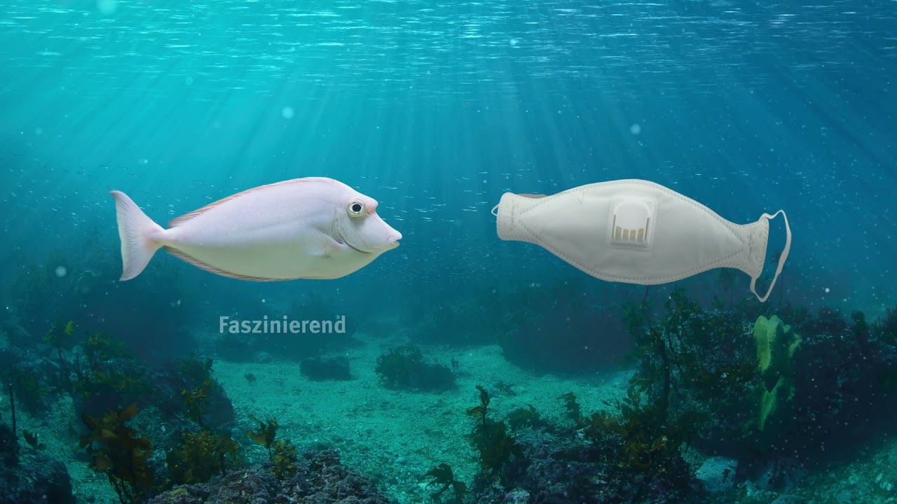 OCEAN CARE FISCH MASKE FINAL