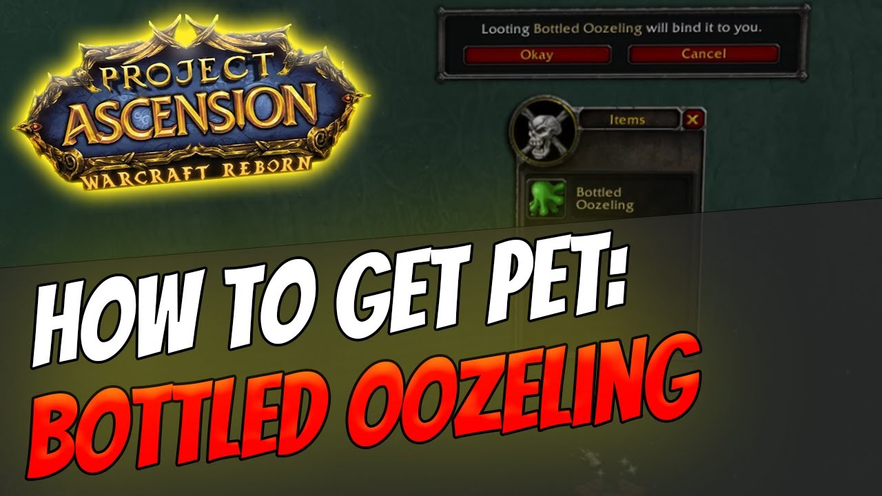 How to get Pet: Bottled Oozeling [Bronzebeard | Ascension Warcraft Reborn]