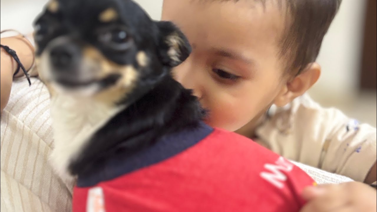 Priya chali gayi pune 😔 /  Vlog Day 3 / Akshita Dhakar / Dhakar Girl / 