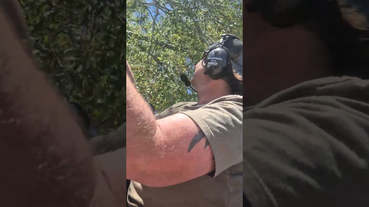 Jet boating Ashburton River South Branch Mt somers to buick bridge Ashburton gorge