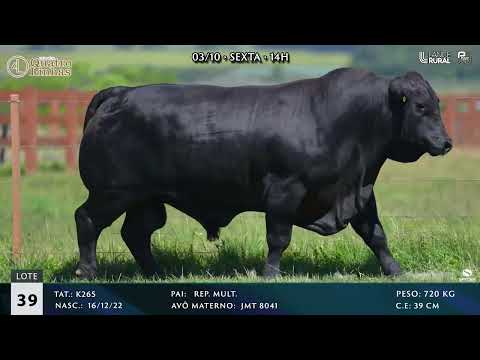 LOTE 039