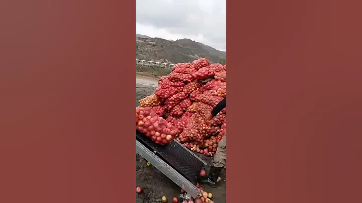 Small conveyor belt, special for cargo loading and unloading truck