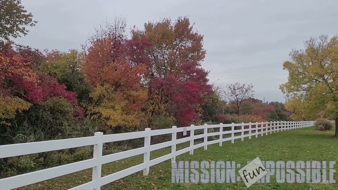 🍂 Peaceful Music @ Alvin P Williams Park Woodbridge NJ - Calm relaxing music, relaxation piano chill