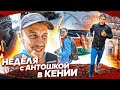 Неделя с Антошкой в Кении