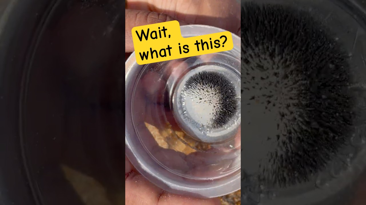 Why Does This Sand Move?! 🧲🤯