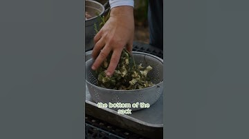 How to Save Snapdragon Seeds #savingseeds