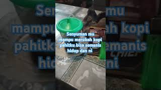 Download Lagu kopi manis MP3