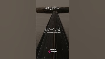 القرآن.. أعظم حديث لا يُدهن فيه | تلاوة الشيخ عبد العزيز السحيم – سورة الواقعة