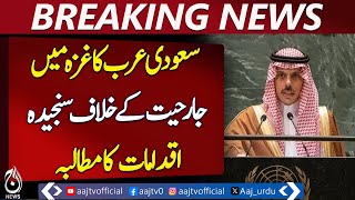 Saudi Arabia Urged to Take Serious Action Against Gaza Aggression - Pakistan news