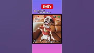 Toddler Dinker Reacts to BABY Dinker..! 👶🏽🤣 OG: @VuxVux #funny #memes