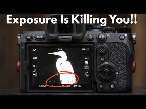 This Is Why Your Wildlife Photos Look Noisy, Muddy, and Weak!!