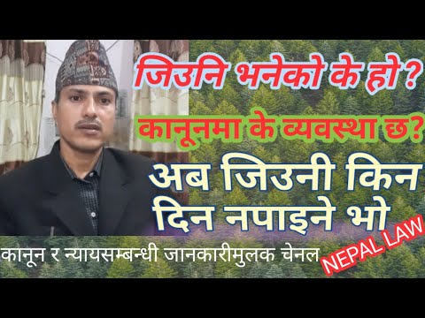 जिउनी भनेको के हो । कानूनमा के छ व्यवस्था |Nepal law