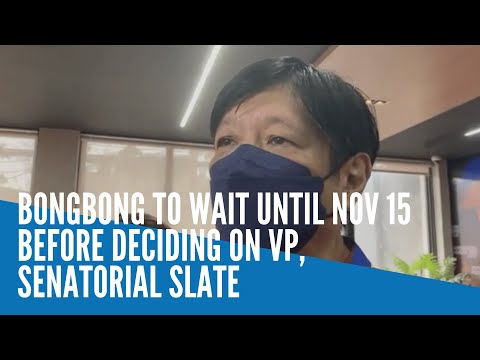 Bongbong waits until Nov. 15 before deciding on running mate, Senate slate