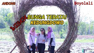 WISATA BUNGA TERATAI, Jatisari,Kedungdowo BOYOLALI Utara #Andong #Boyolali