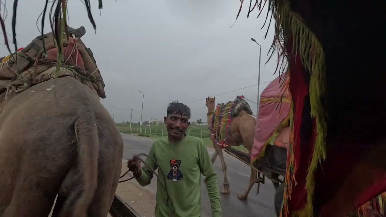 Pushkar Camel Safari Experience | Rajasthan Desert Adventure Vlog