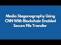 Media Steganography with CNN & Blockchain for Secure Transfer