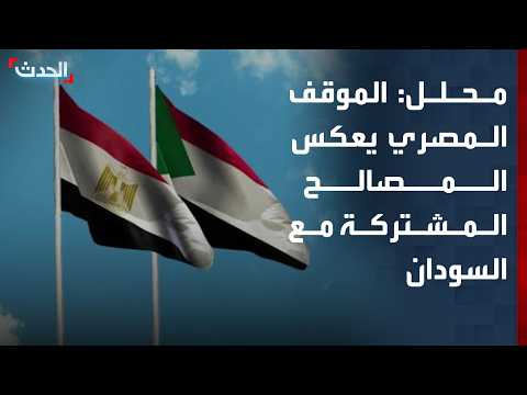 Analyst: Egypt's support for Sudan is based on historical relations and mutual interests