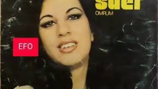 Hülya Süer  Gel bari,bari  (Plak)