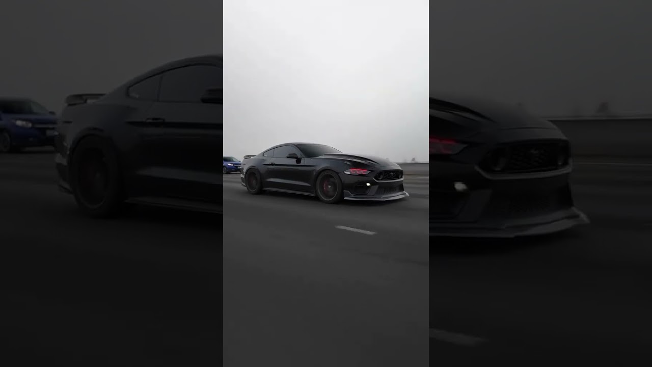 Mustang GT500 EAR-SHATTERING Exhaust! | CarsCafe 