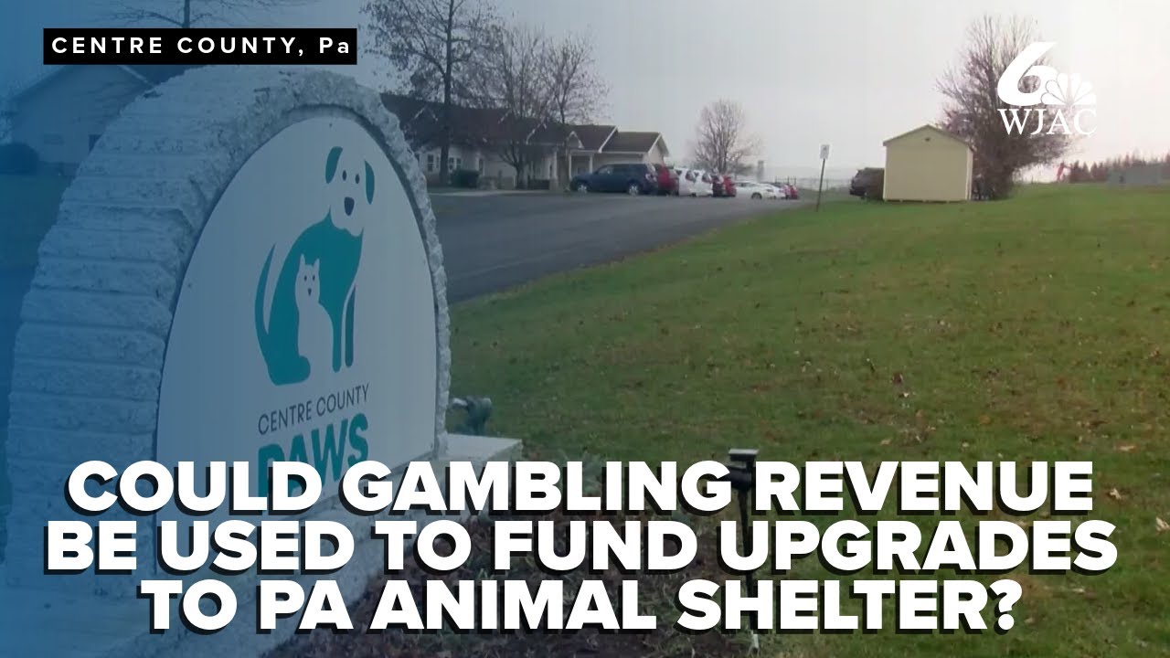 Расширение приюта для животных в центральной части Пенсильвании может быть стимулировано за счет ...