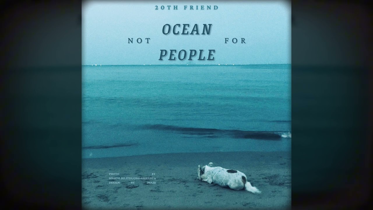 2. SEA TURTLE (from OCEAN NOT FOR PEOPLE by 20th Friend)