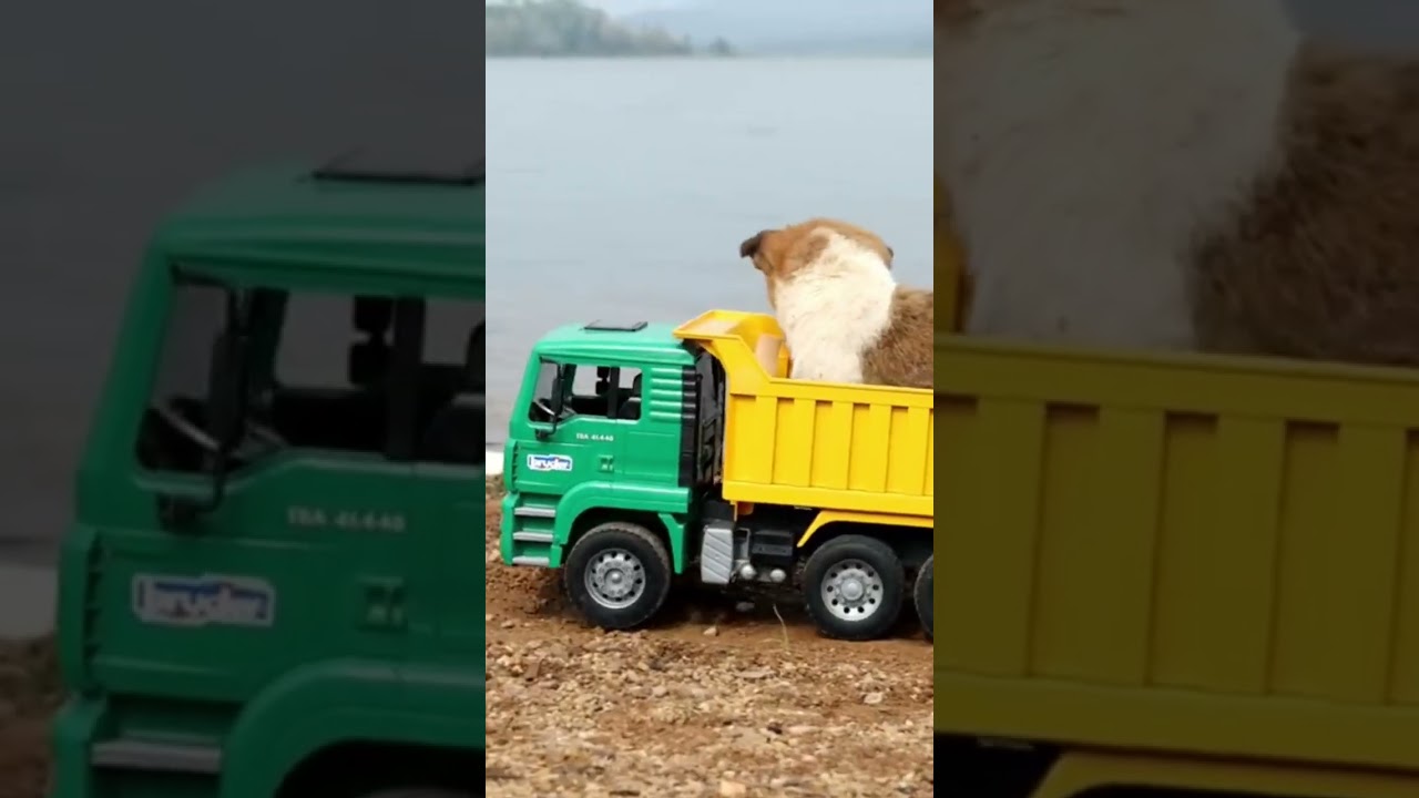 broom broom😱😱🔥🔥🥰🥰😜😜😆😆😊😊🐕🐕🤔🤔😚😚☺️☺️😘😘