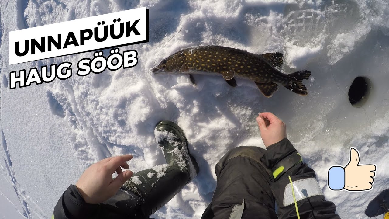 Unnapüük Järvel 16.veebruar