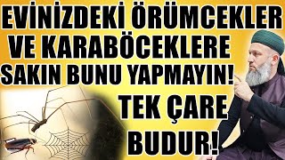 Örümcek Ve Hamamböcekleri̇ İçi̇n Yapmaniz Gereken Şey Hüseyin Çevi̇k