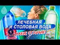 Лечебная и столовая вода: отличия, как пить Стэлмас Магний. На примере: Стэлмас Mg+ и Стэлмас Zn Se.