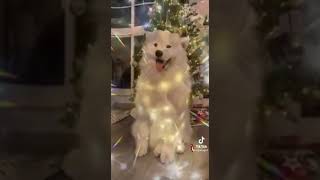 20 Января 2022 Г.