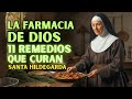 11 Remedios Naturales de Santa Hildegarda que Curan el Cuerpo y el Alma