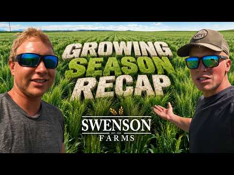 From Sowing To Growing