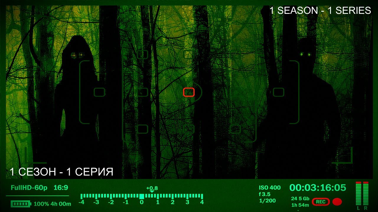 Духи ответили мне в лесу сеанс эгф! The spirits answered me in the forest egf session!