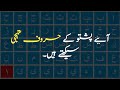 Learn Pashto Alphabets پشتو حروف تہجی سیکھیں 