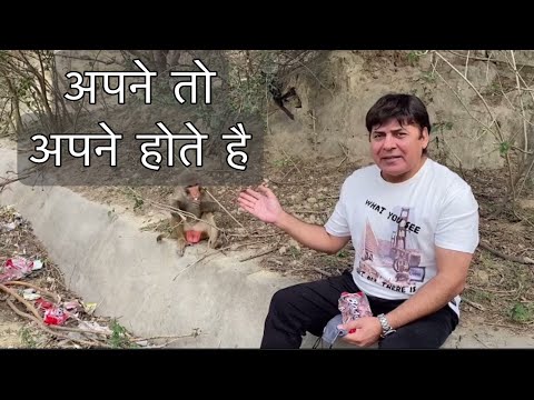 Apne to apne hote hain | Sudesh Lehri comedy