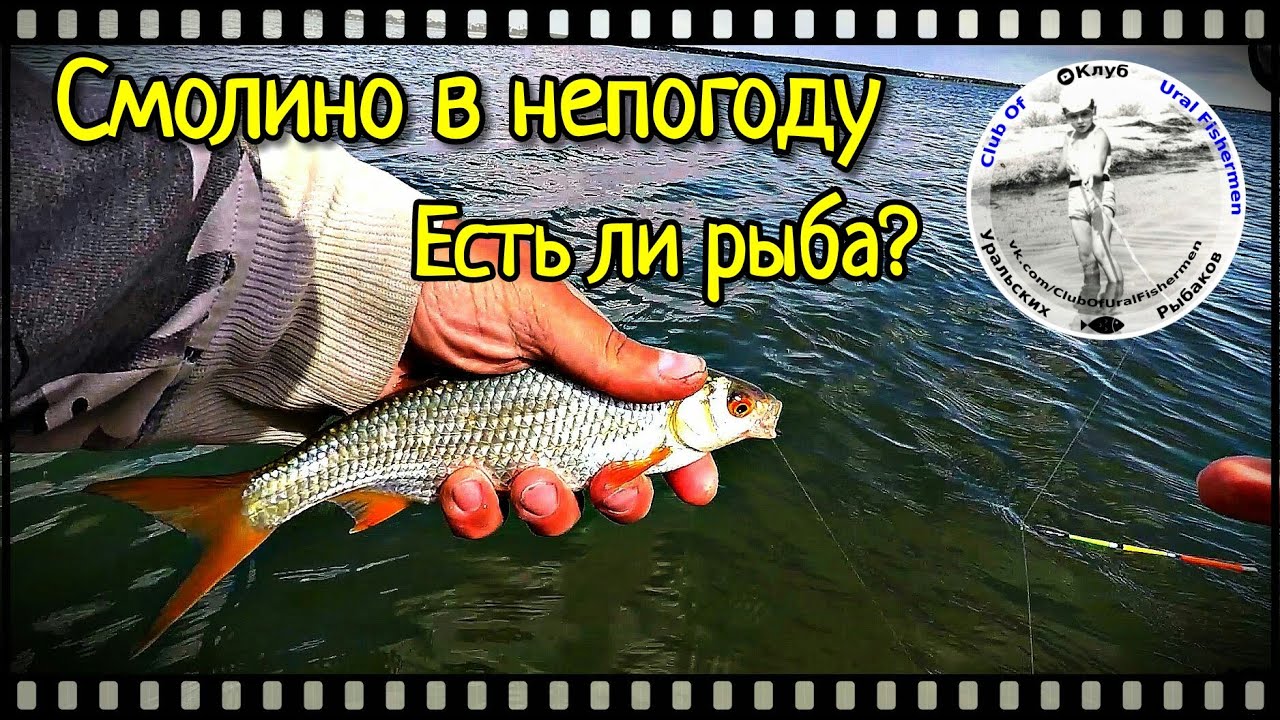 Рыбный день на волге