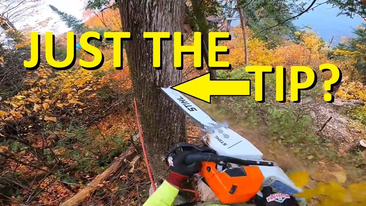 Arborist Techniques #10: Bore Cut Felling